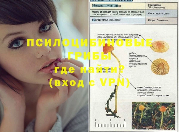 прущая мука Баксан