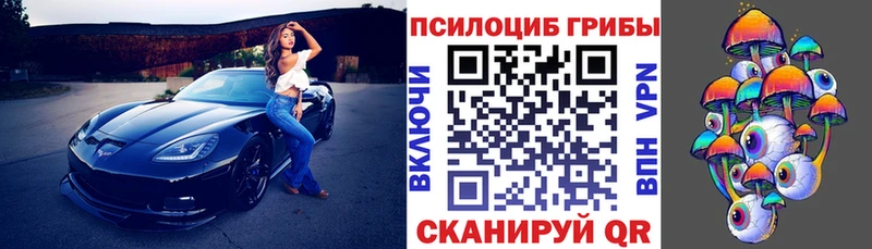 купить наркотик  Губаха  Галлюциногенные грибы Psilocybe 